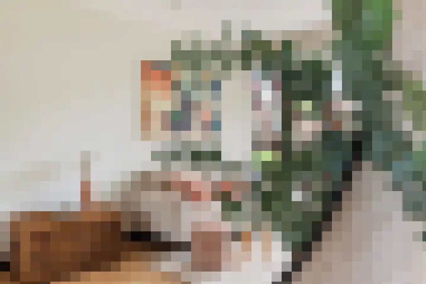 Johannes Bosboomstraat 25 Woerden thumbnail 14