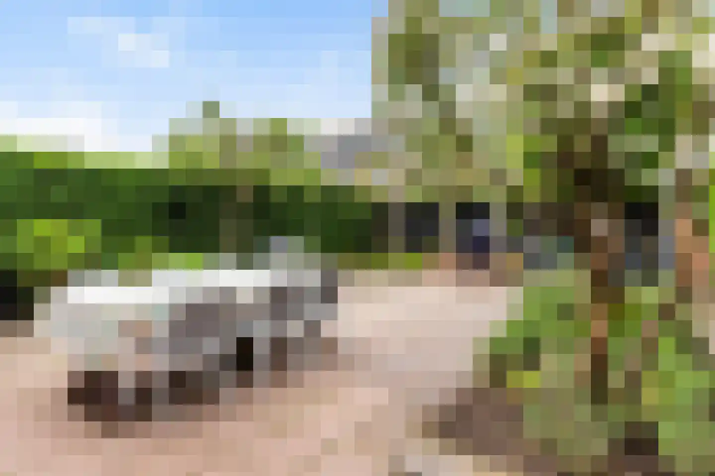 Johannes Bosboomstraat 25 Woerden thumbnail 21