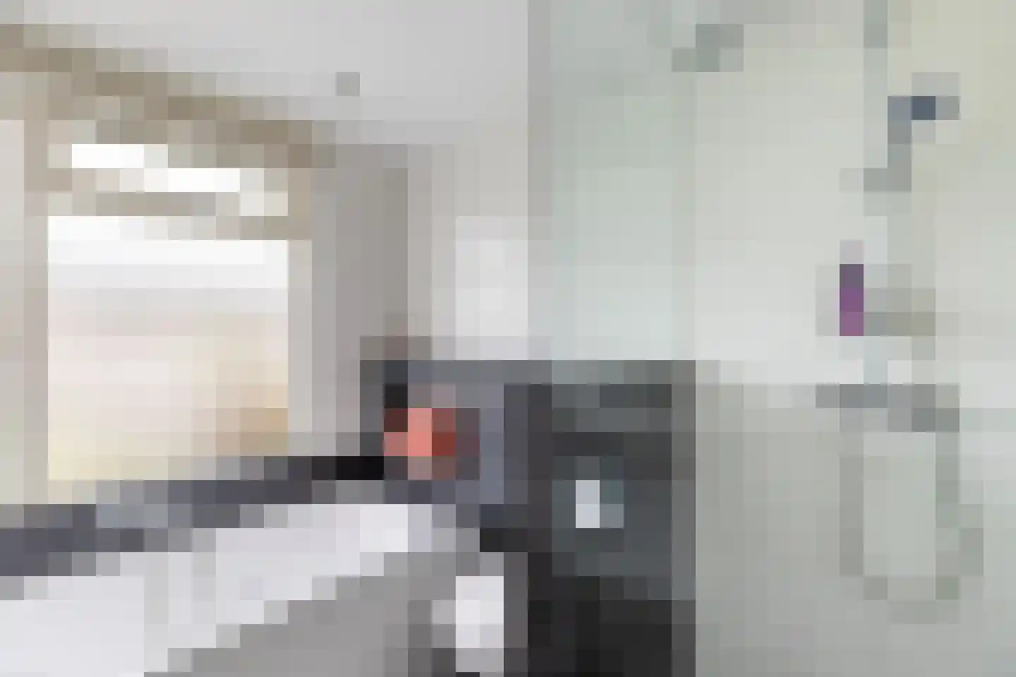 Johannes Bosboomstraat 25 Woerden thumbnail 39