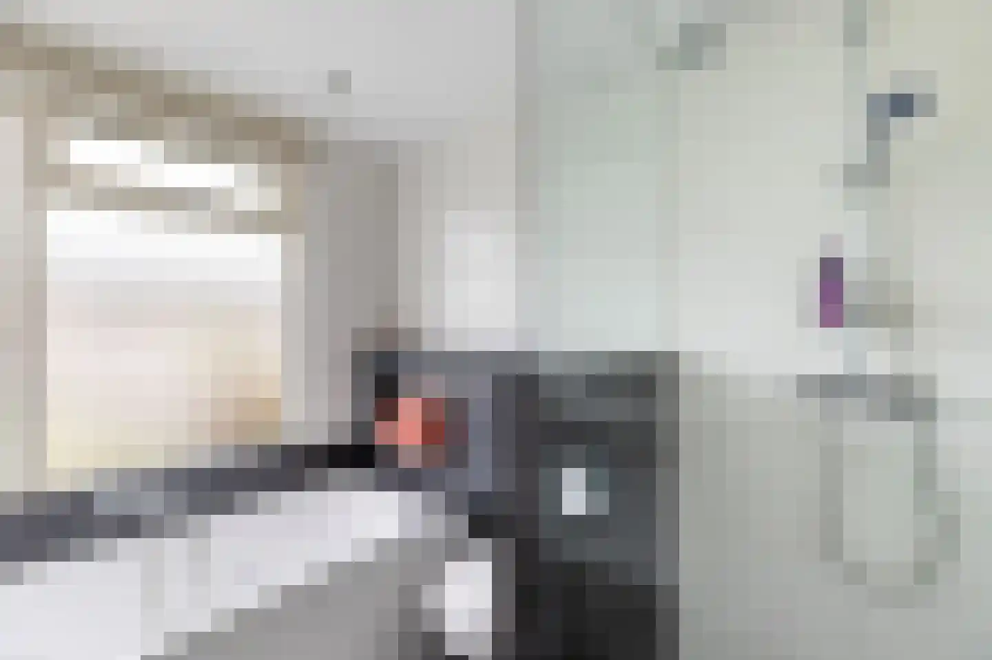 Johannes Bosboomstraat 25 Woerden thumbnail 39