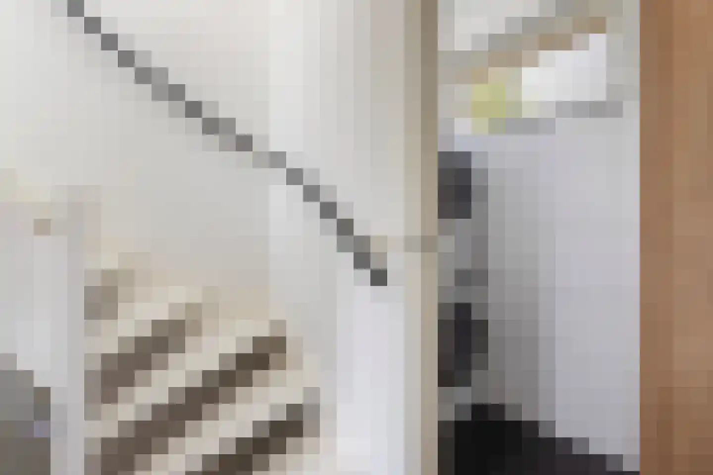Johannes Bosboomstraat 25 Woerden thumbnail 43