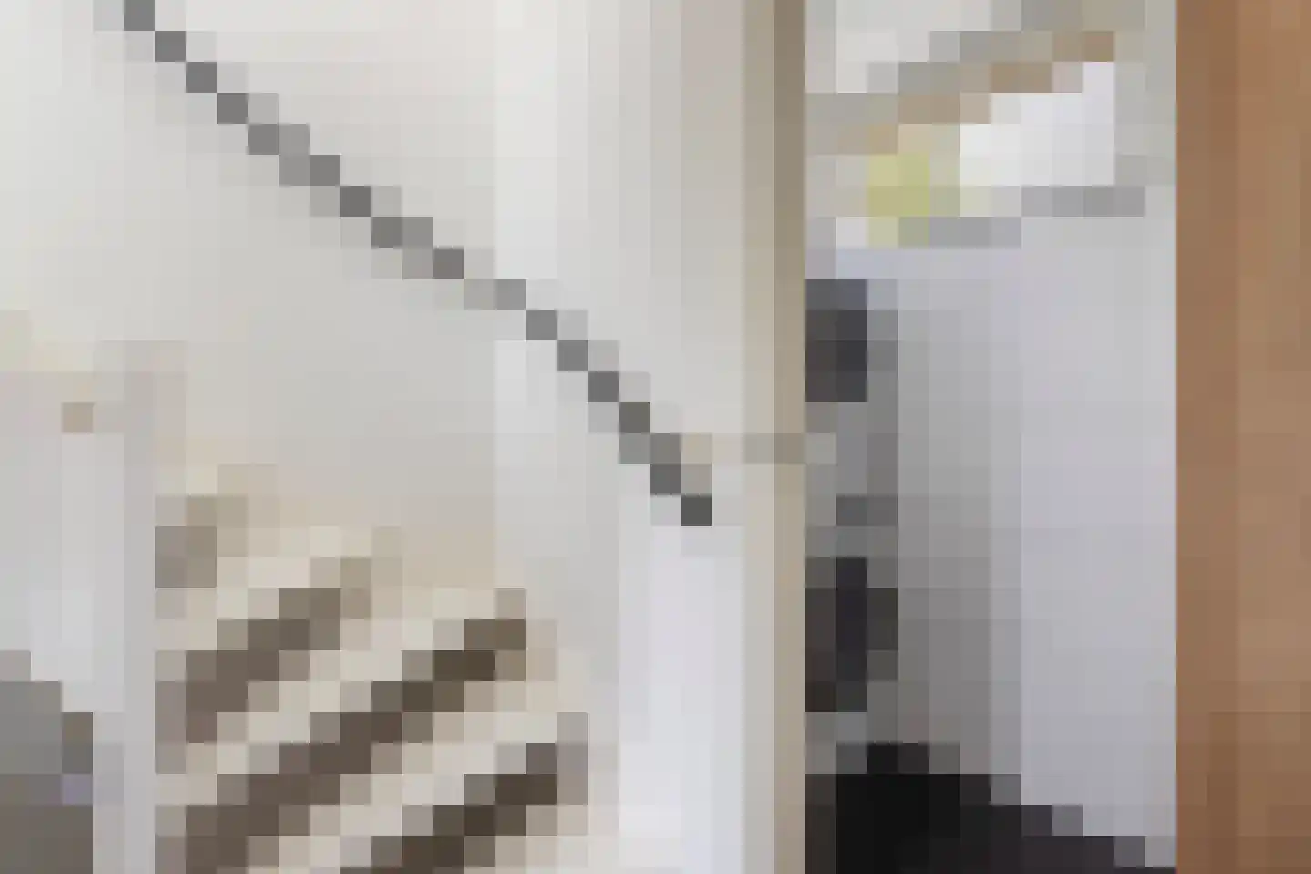 Johannes Bosboomstraat 25 Woerden thumbnail 43
