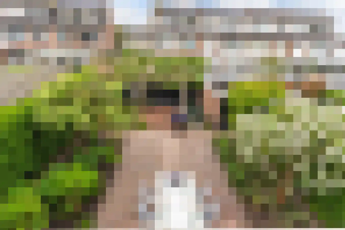 Johannes Bosboomstraat 25 Woerden thumbnail 57