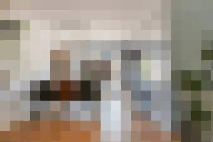 Johannes Bosboomstraat 26 Papendrecht thumbnail 16