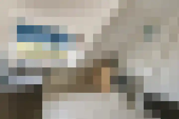 Johannes Bosboomstraat 26 Papendrecht thumbnail 32