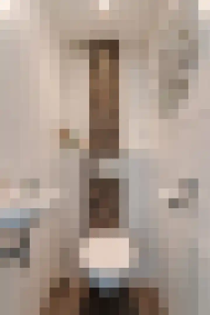 Johannes Bosboomstraat 26 Papendrecht thumbnail 8