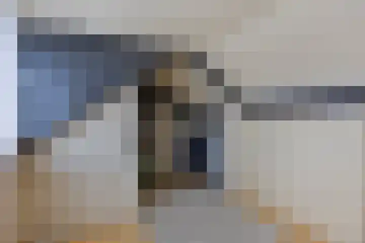 Johannes Bosboomstraat 7 Helmond thumbnail 21