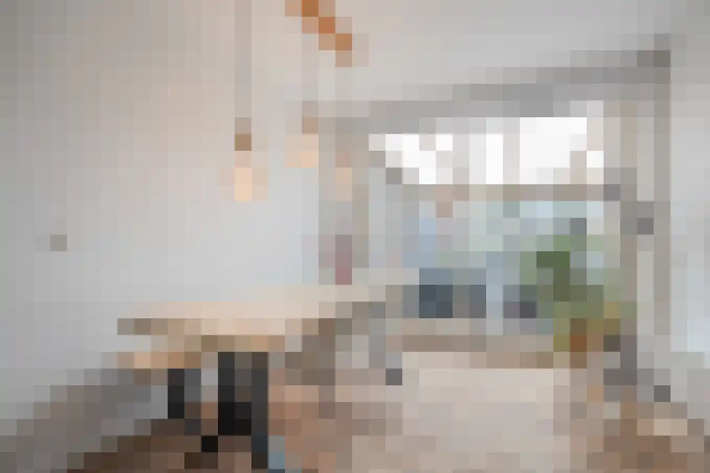 Johannes Bosboomstraat 8 Schagen thumbnail 12