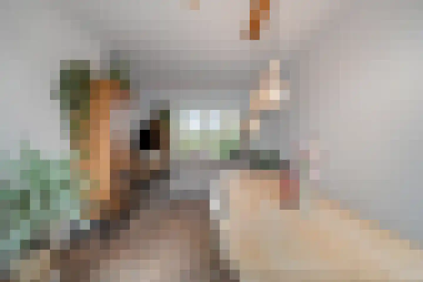Johannes Bosboomstraat 8 Schagen thumbnail 13
