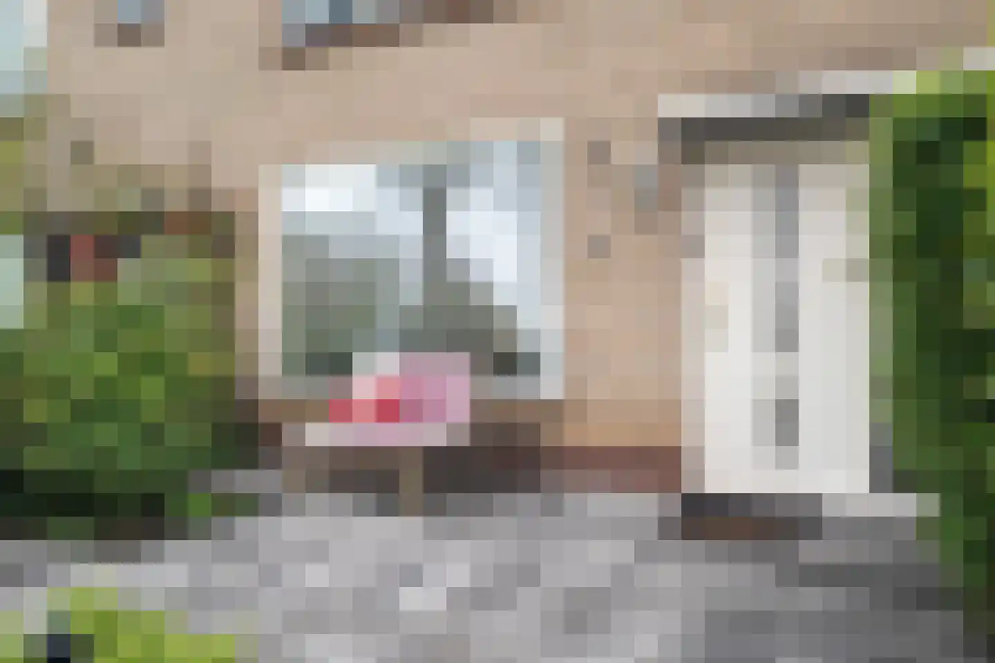 Johannes Bosboomstraat 8 Schagen thumbnail 6