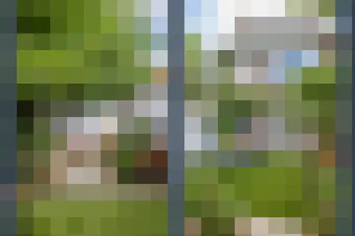 Johannes Brahmsstraat 31 Utrecht thumbnail 43