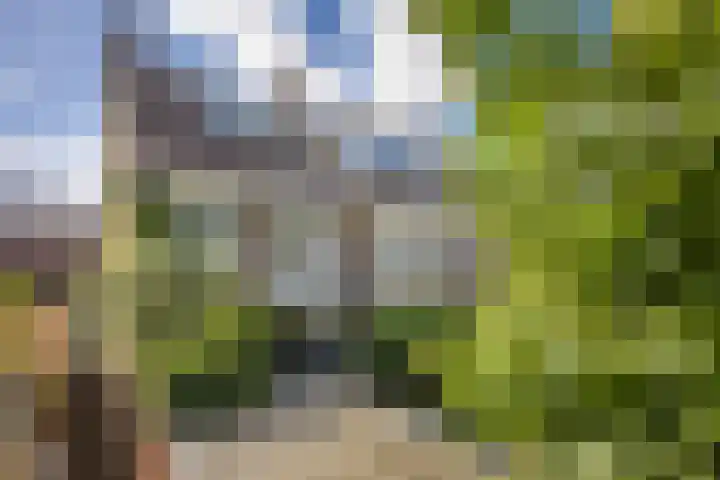 Johannes Brahmsstraat 31 Utrecht thumbnail 52