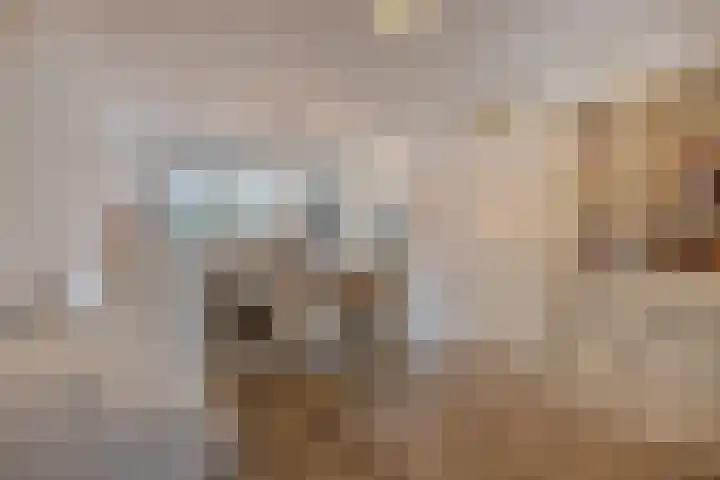 Johannes Buijslaan 28 Eindhoven thumbnail 12