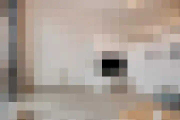 Johannes Buijslaan 28 Eindhoven thumbnail 7