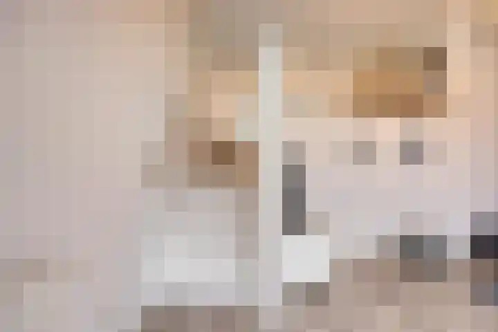 Johannes Buijslaan 28 Eindhoven thumbnail 8