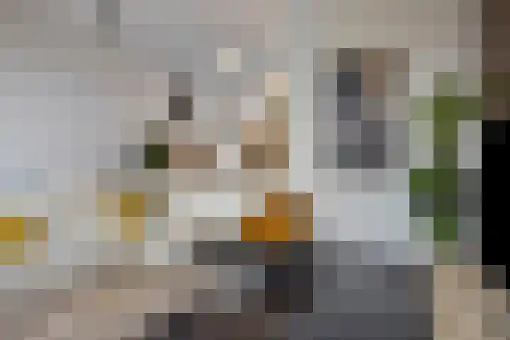 Johannes Buijslaan 30 Eindhoven thumbnail 14