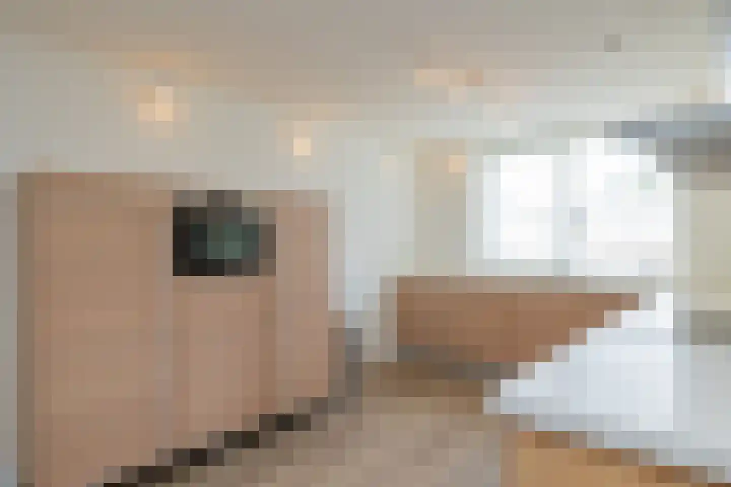 Johannes Calvijnlaan 79 Amstelveen thumbnail 15