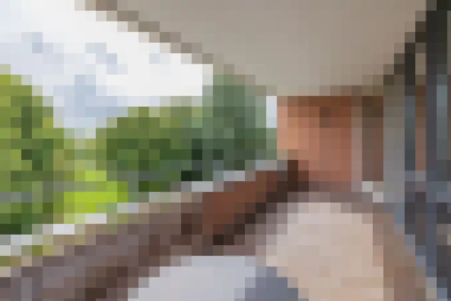 Johannes Calvijnlaan 79 Amstelveen thumbnail 23