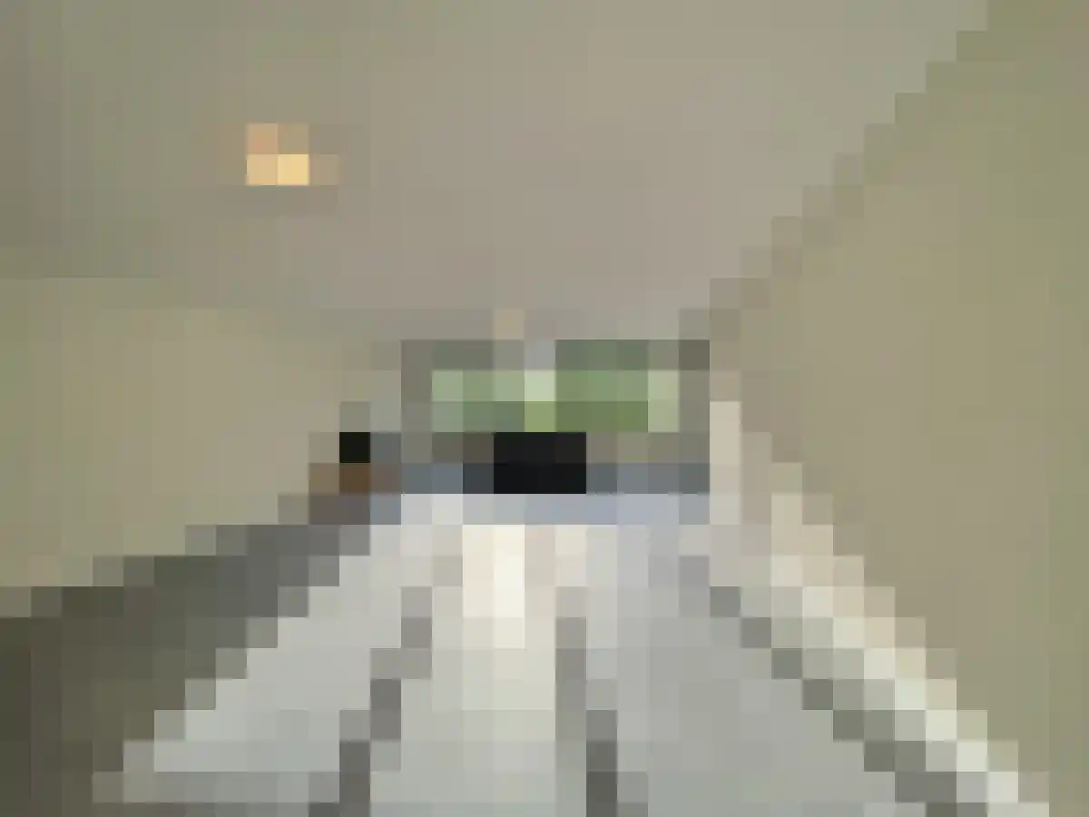 Johannes Calvijnlaan Amstelveen thumbnail 6