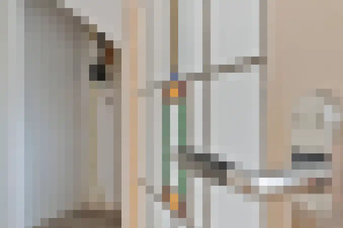Johannes Camphuijsstraat 106 Den Haag thumbnail 17