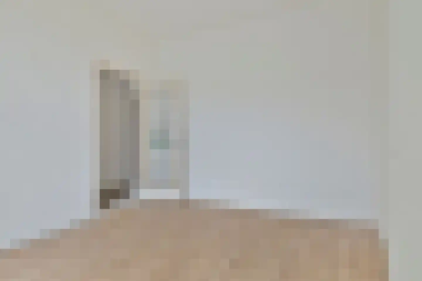 Johannes Camphuijsstraat 106 Den Haag thumbnail 5