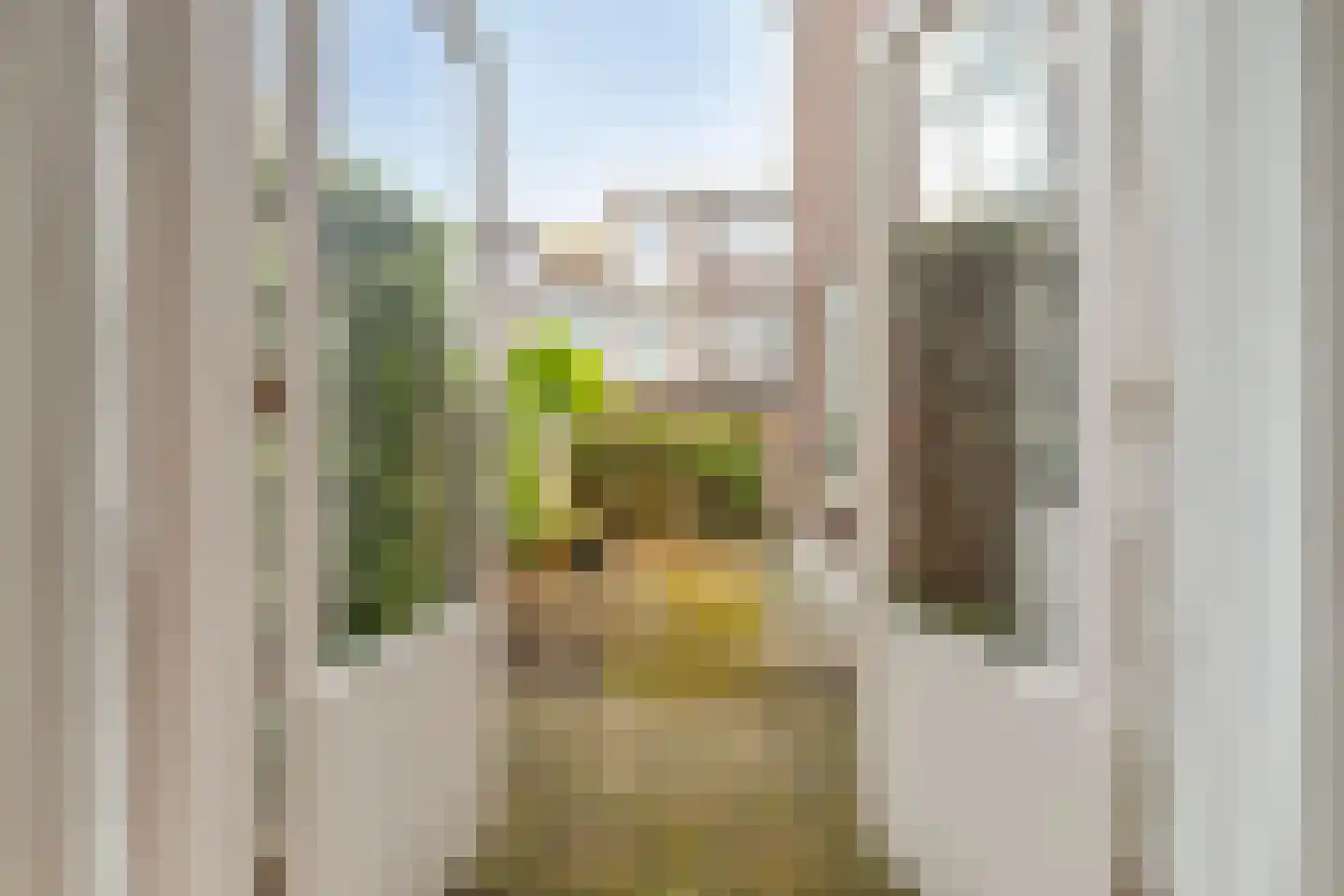Johannes Camphuijsstraat 106 Den Haag thumbnail 7