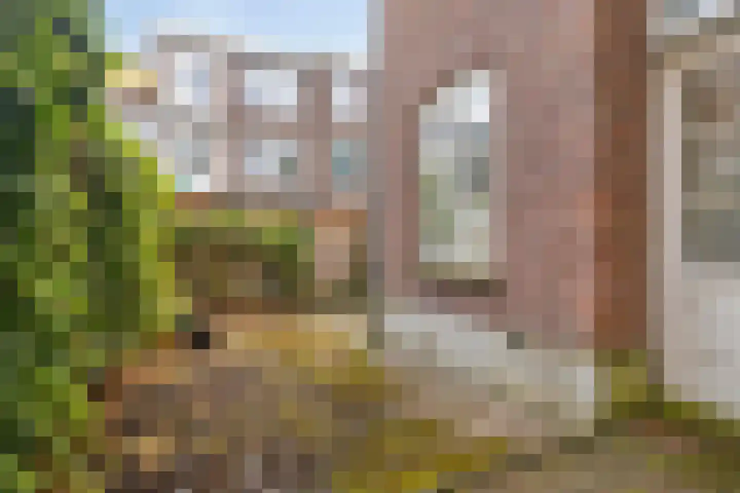 Johannes Camphuijsstraat 106 Den Haag thumbnail 8