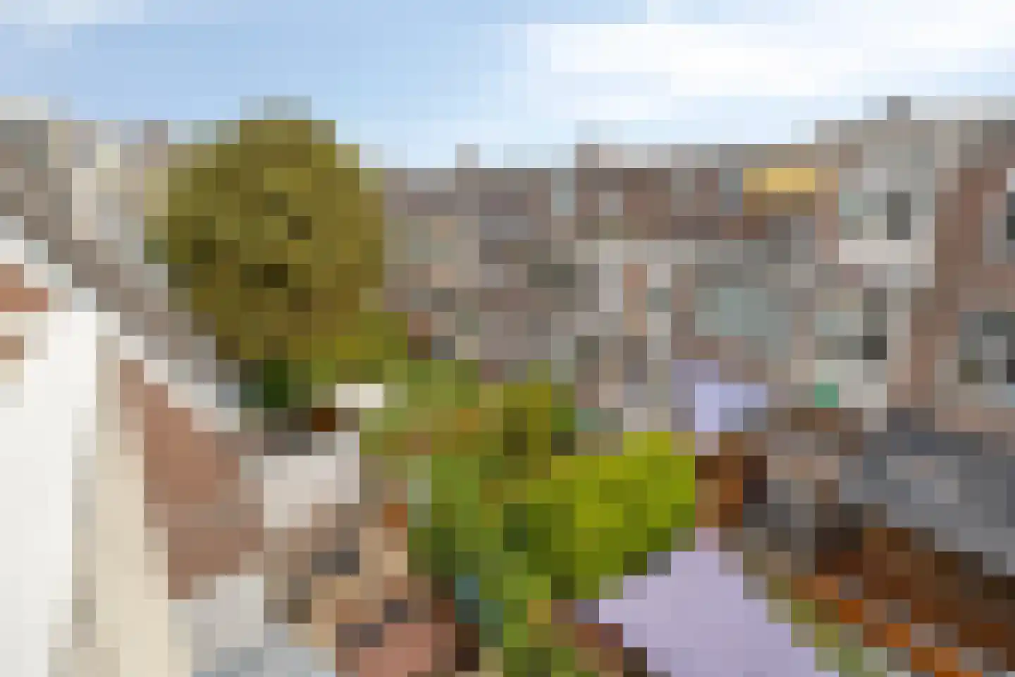 Johannes Camphuijsstraat 108 A Den Haag thumbnail 11