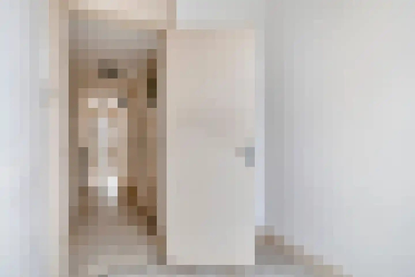 Johannes Camphuijsstraat 108 A Den Haag thumbnail 12