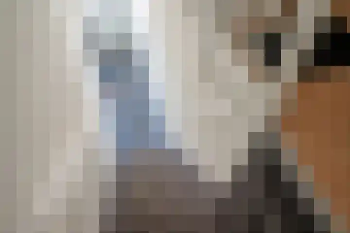 Johannes Camphuijsstraat 132 Den Haag thumbnail 6