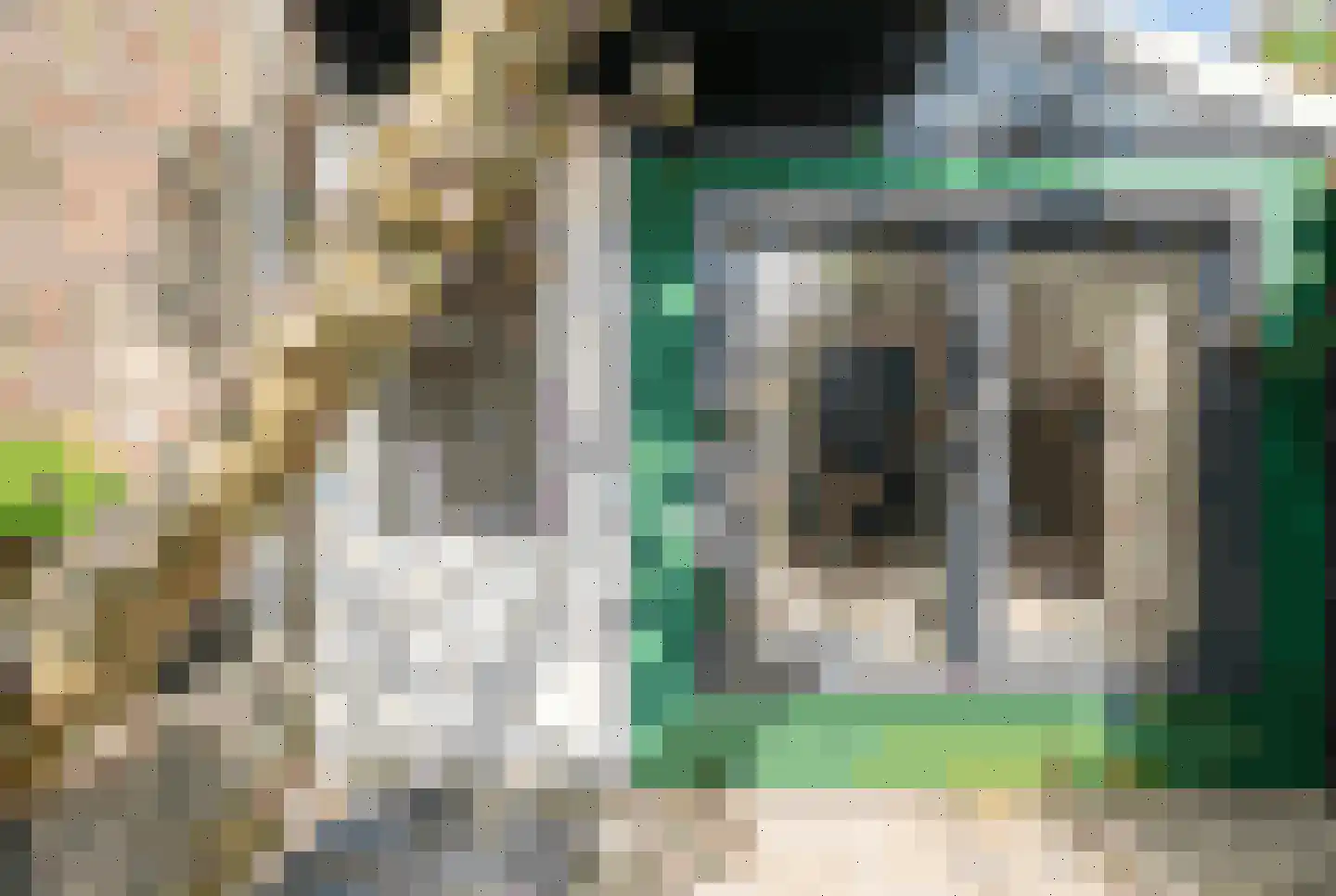 Johannes Camphuijsstraat 137 Den Haag thumbnail 20