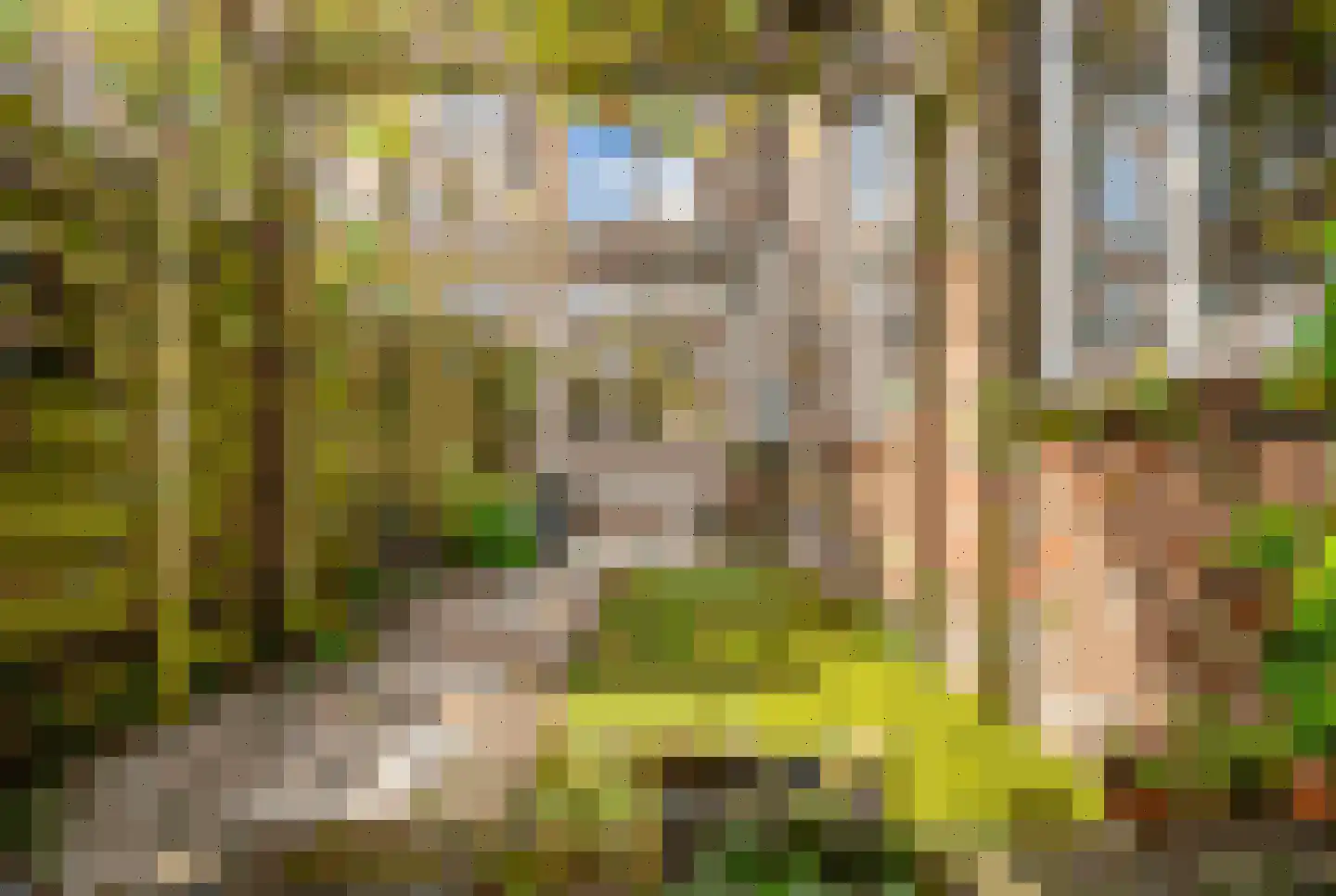 Johannes Camphuijsstraat 137 Den Haag thumbnail 22