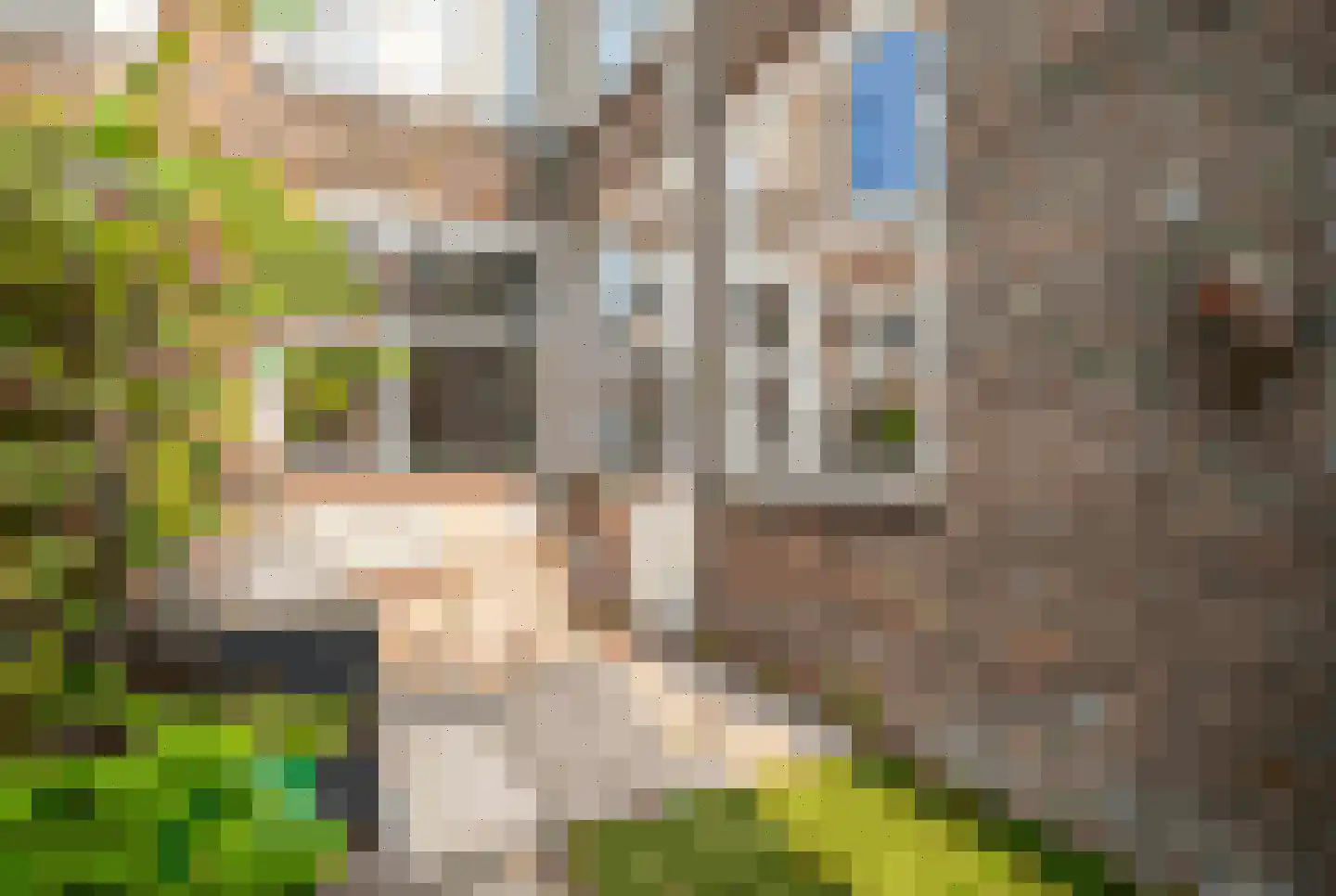 Johannes Camphuijsstraat 137 Den Haag thumbnail 23