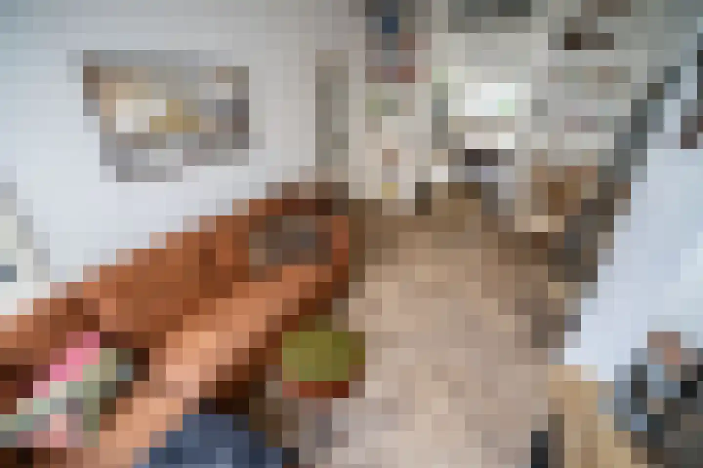 Johannes Camphuijsstraat 137 Den Haag thumbnail 7
