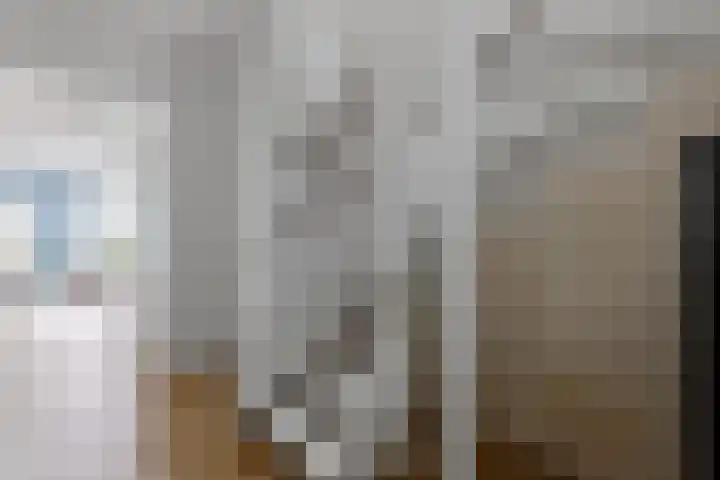 Johannes Camphuijsstraat 163 D Den Haag thumbnail 11