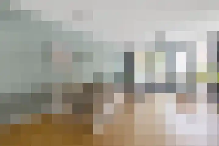 Johannes Camphuijsstraat 163 D Den Haag thumbnail 12