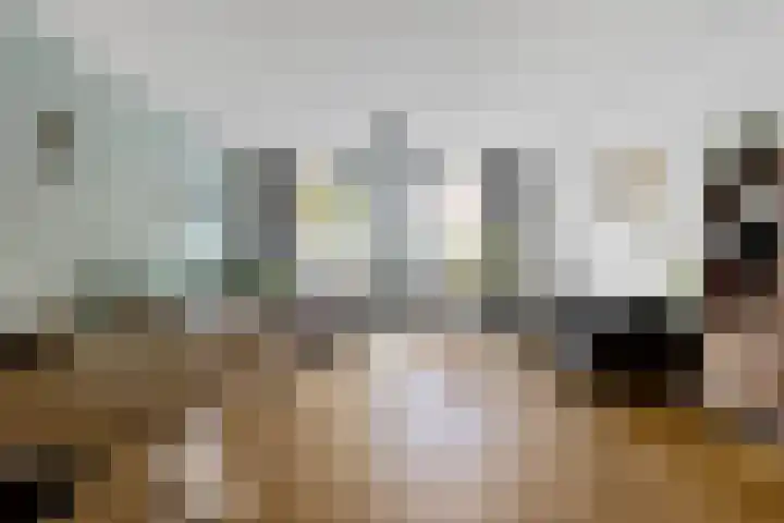 Johannes Camphuijsstraat 163 D Den Haag thumbnail 13