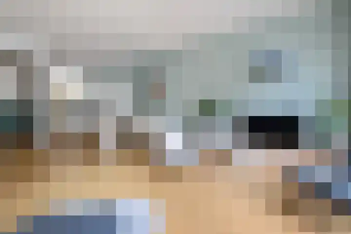 Johannes Camphuijsstraat 163 D Den Haag thumbnail 23