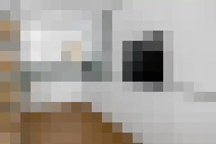 Johannes Camphuijsstraat 163 D Den Haag thumbnail 27