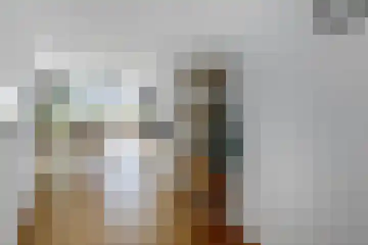 Johannes Camphuijsstraat 163 D Den Haag thumbnail 29