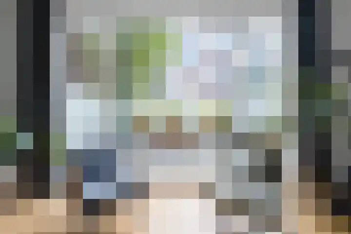 Johannes Camphuijsstraat 163 D Den Haag thumbnail 30