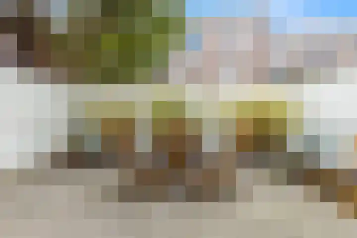Johannes Camphuijsstraat 163 D Den Haag thumbnail 31