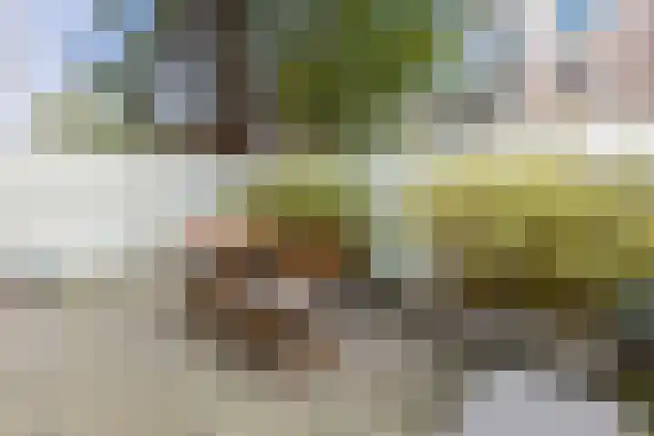 Johannes Camphuijsstraat 163 D Den Haag thumbnail 32