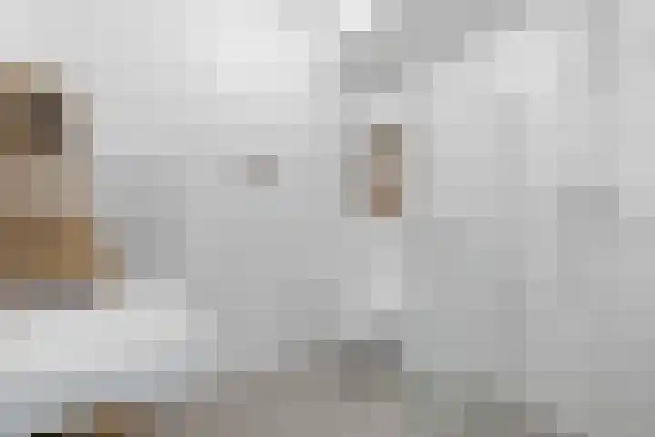 Johannes Camphuijsstraat 163 D Den Haag thumbnail 36