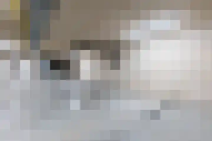 Johannes Camphuijsstraat 163 D Den Haag thumbnail 47
