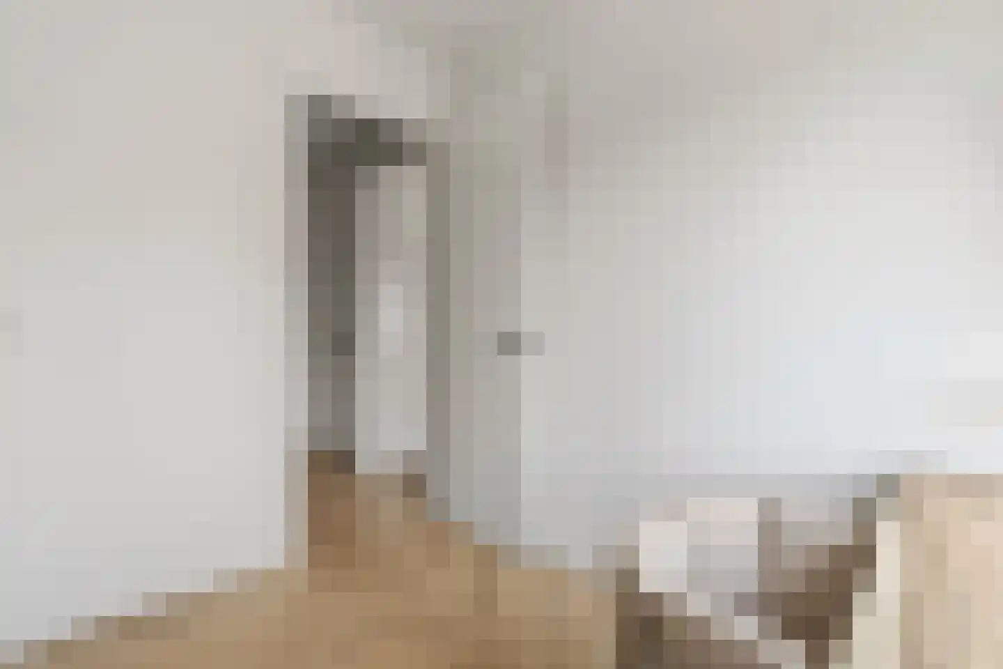 Johannes Camphuijsstraat 167 A Den Haag thumbnail 16