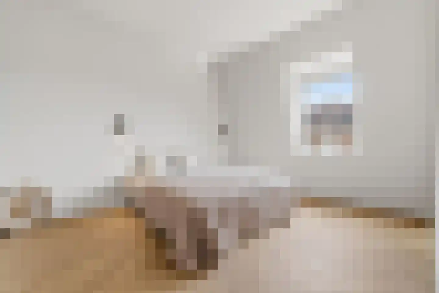 Johannes Camphuijsstraat 167 A Den Haag thumbnail 17