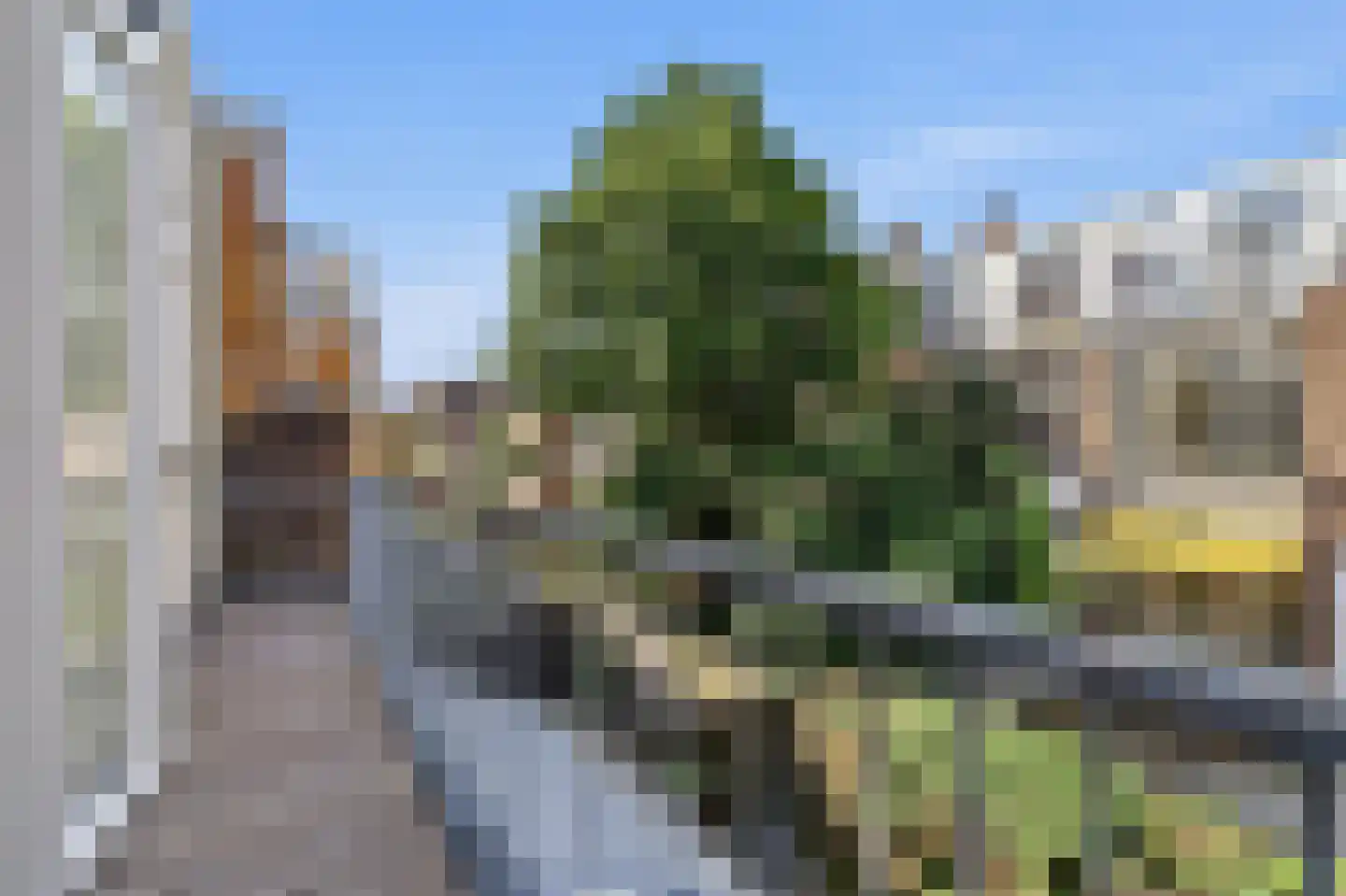 Johannes Camphuijsstraat 167 C Den Haag thumbnail 26