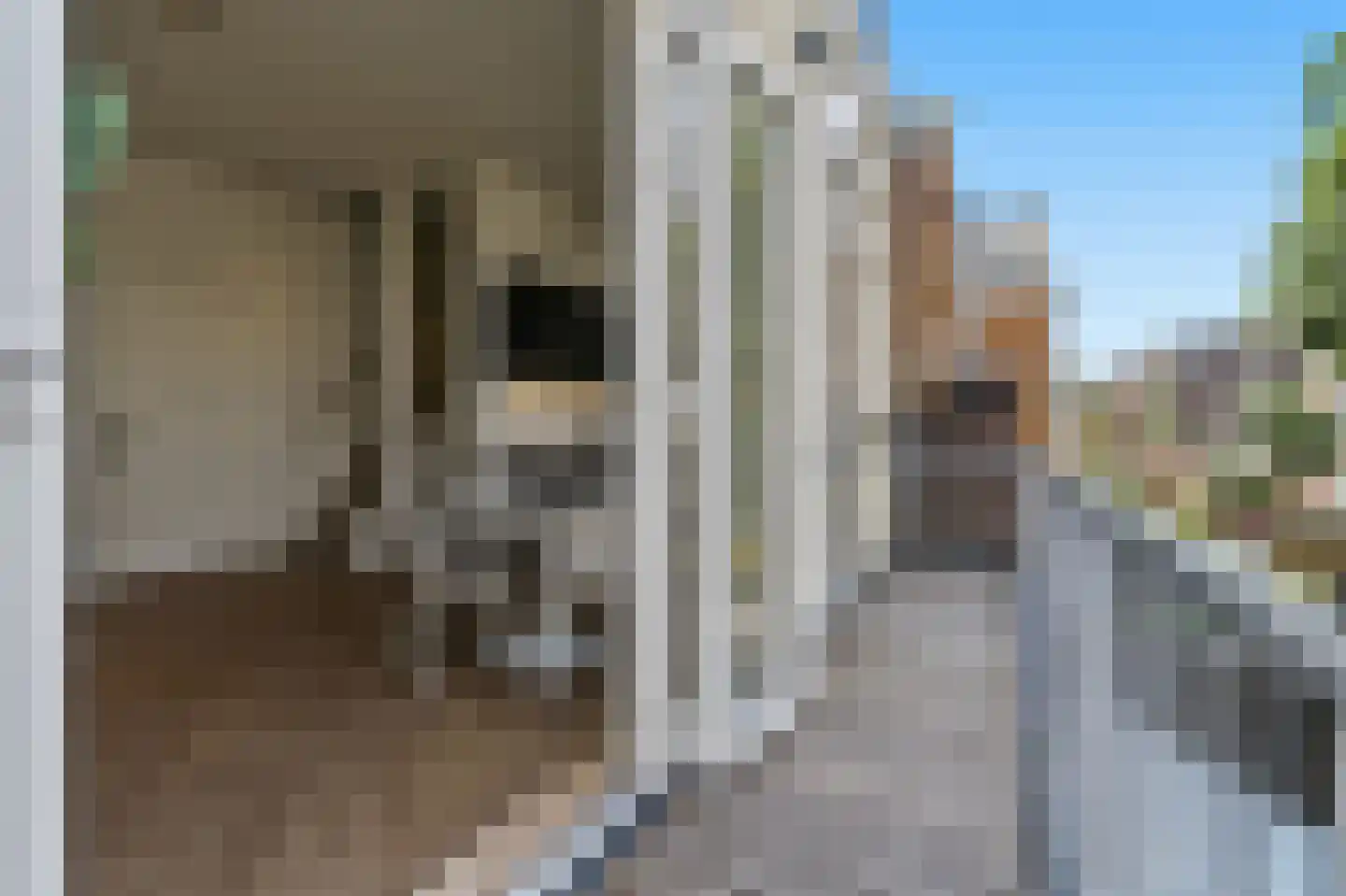 Johannes Camphuijsstraat 167 C Den Haag thumbnail 27