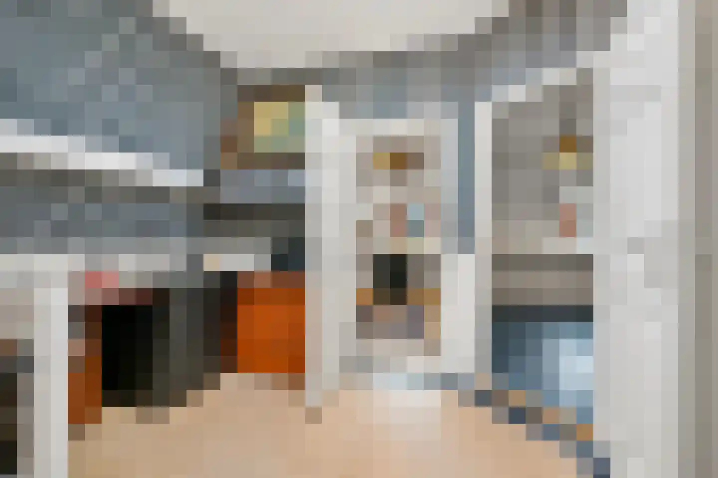 Johannes Camphuijsstraat 179 Den Haag thumbnail 20